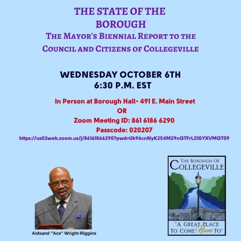 State of the Borough Report